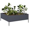 vidaXL Lit surélevé de jardin anthracite 100x100x25 cm acier