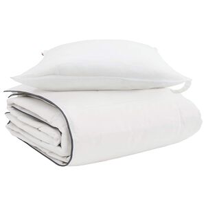 vidaXL Duvet d'hiver avec oreiller 2 pcs Blanc Plume de canard