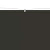 vidaXL Auvent vertical Anthracite 60x800 cm Tissu oxford