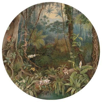 WallArt Papier peint cercle In the Jungle 142,5 cm