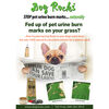 Dog Rocks Roches contre tache d'urine de chien