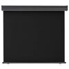 vidaXL Auvent lat&eacute;ral de balcon 125x250 cm noir