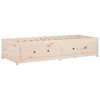 vidaXL Lit de jour 75x190 cm Petit simple Bois de pin massif