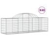 vidaXL Paniers &agrave; gabions arqu&eacute;s 40 pcs 200x50x60/80 cm fer galvanis&eacute;