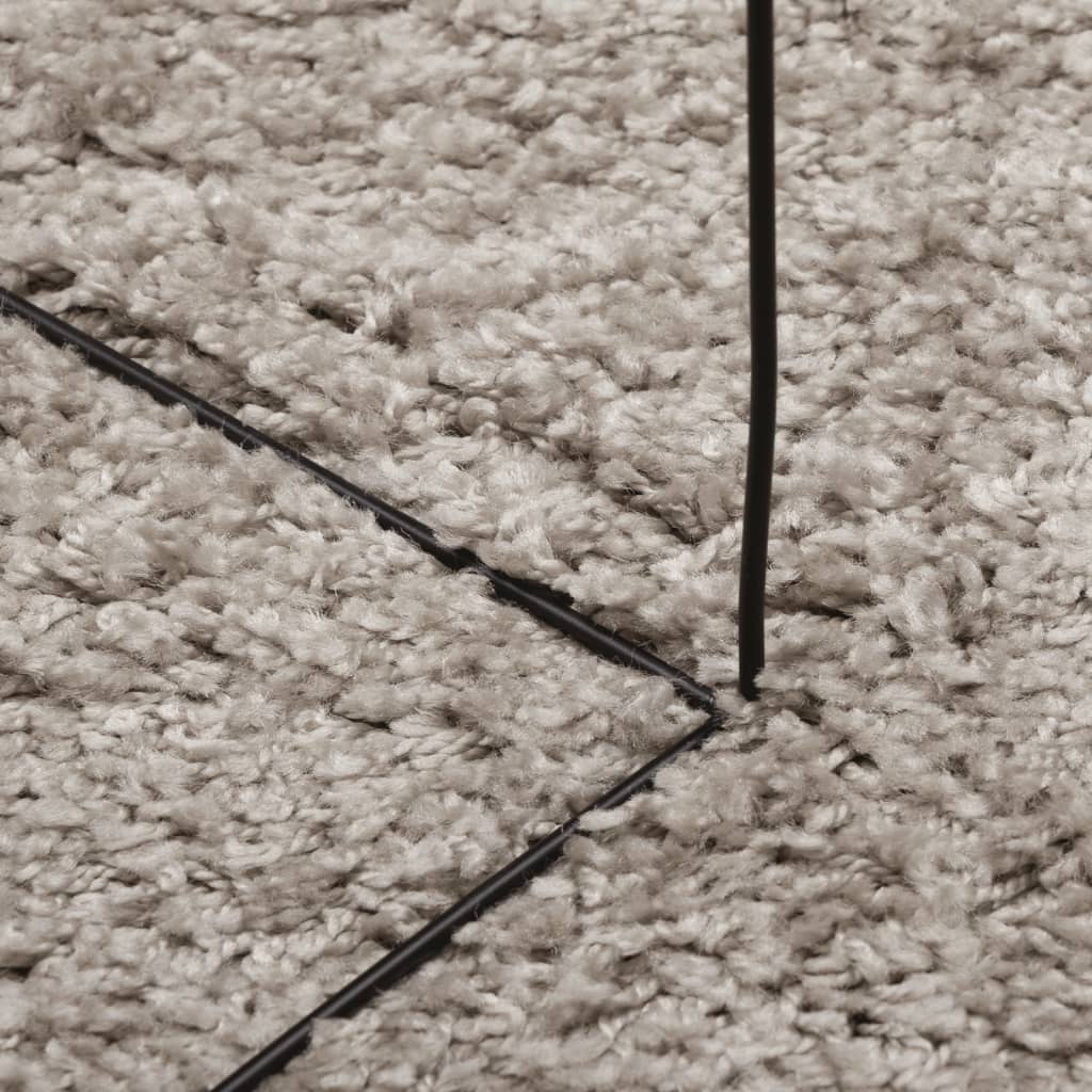 vidaXL Tapis shaggy PAMPLONA poils longs moderne beige 60x110 cm