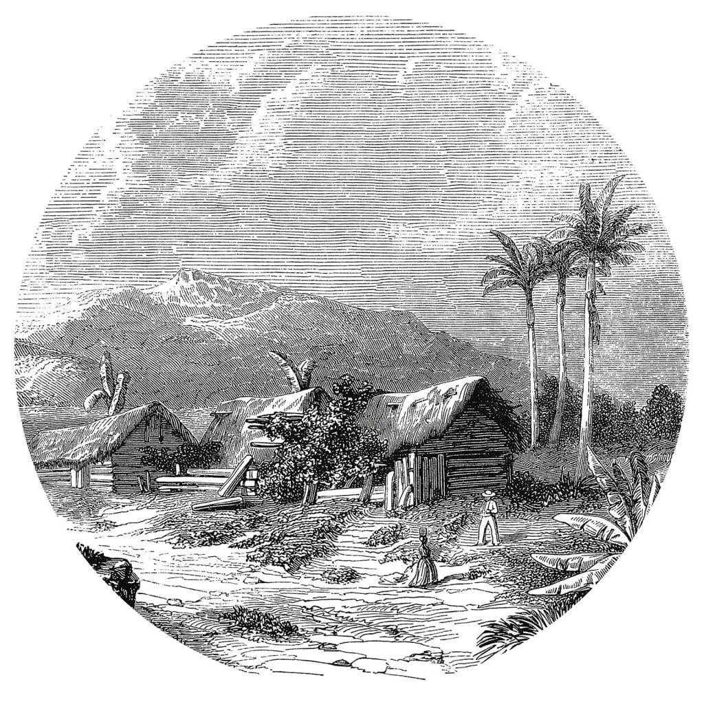 WallArt Papier peint cercle Landscape of Guadeloupe 142,5 cm