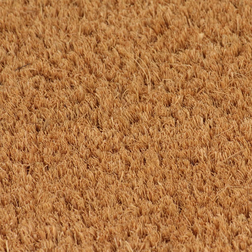 vidaXL Tapis de porte naturel 80x100 cm fibre de coco touffeté