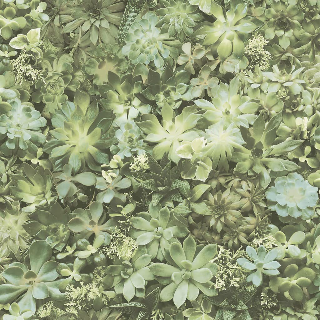 Evergreen Papier peint Succulent Vert et beige