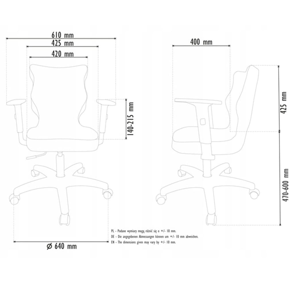 Entelo Chaise ergonomique pour enfants Duo Gray Jasmine 01 Noir
