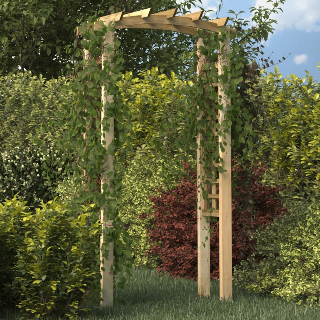 Arche de jardin de 150 cm en bois de pin robuste imprégné vert Vida XL  41662 - Habitium®