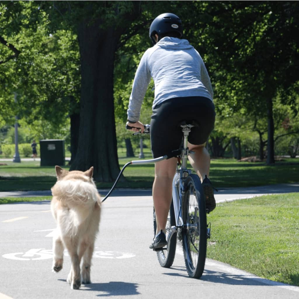 PetEgo Laisse de vélo universelle pour chiens Cycleash 85 cm CYCLEASH