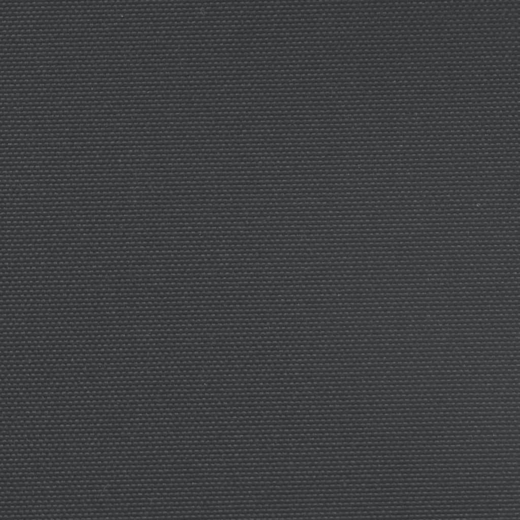 vidaXL Auvent latéral rétractable Noir 160x1200 cm