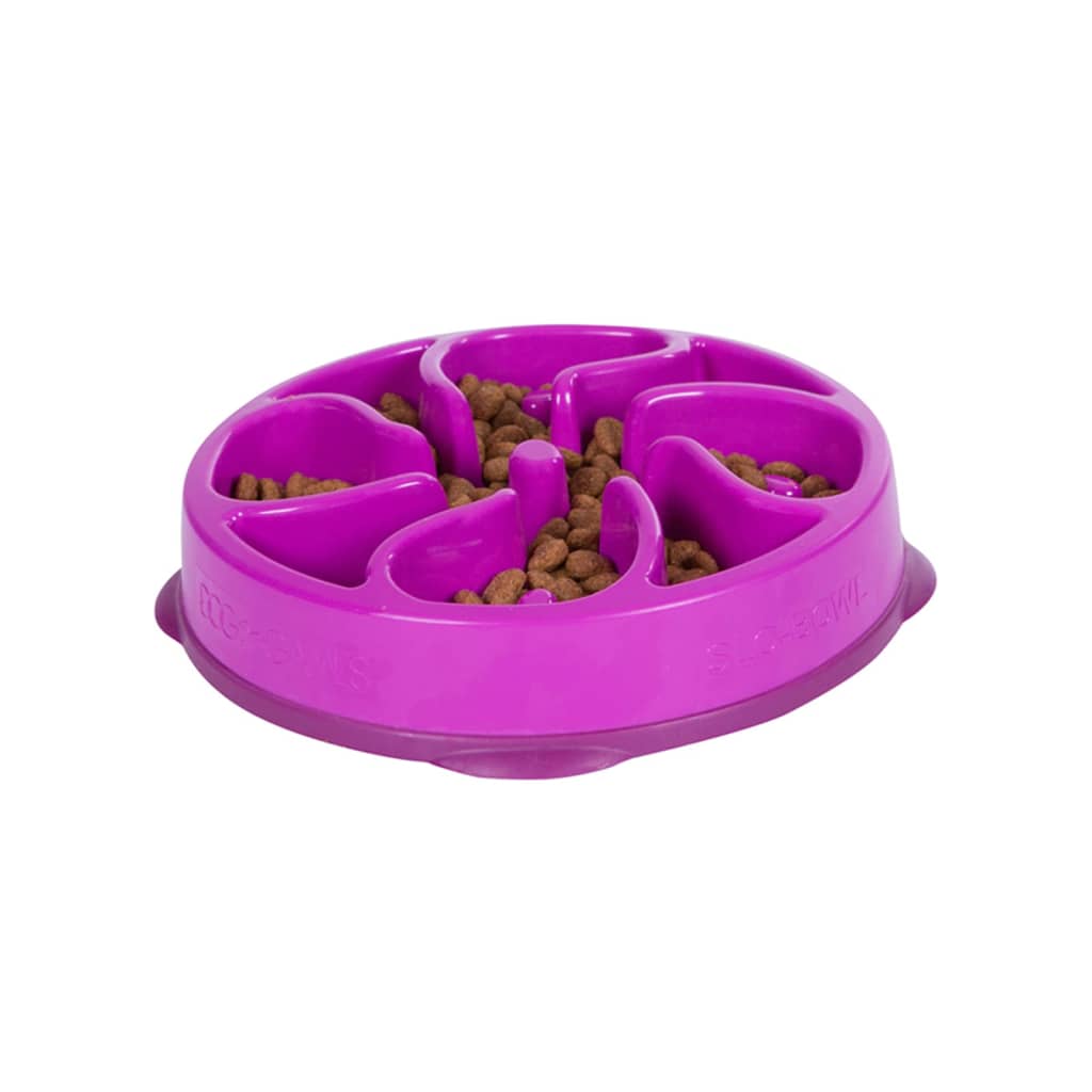 Outward Hound Mini mangeoire lente pour chiens Slo Bowl Violet
