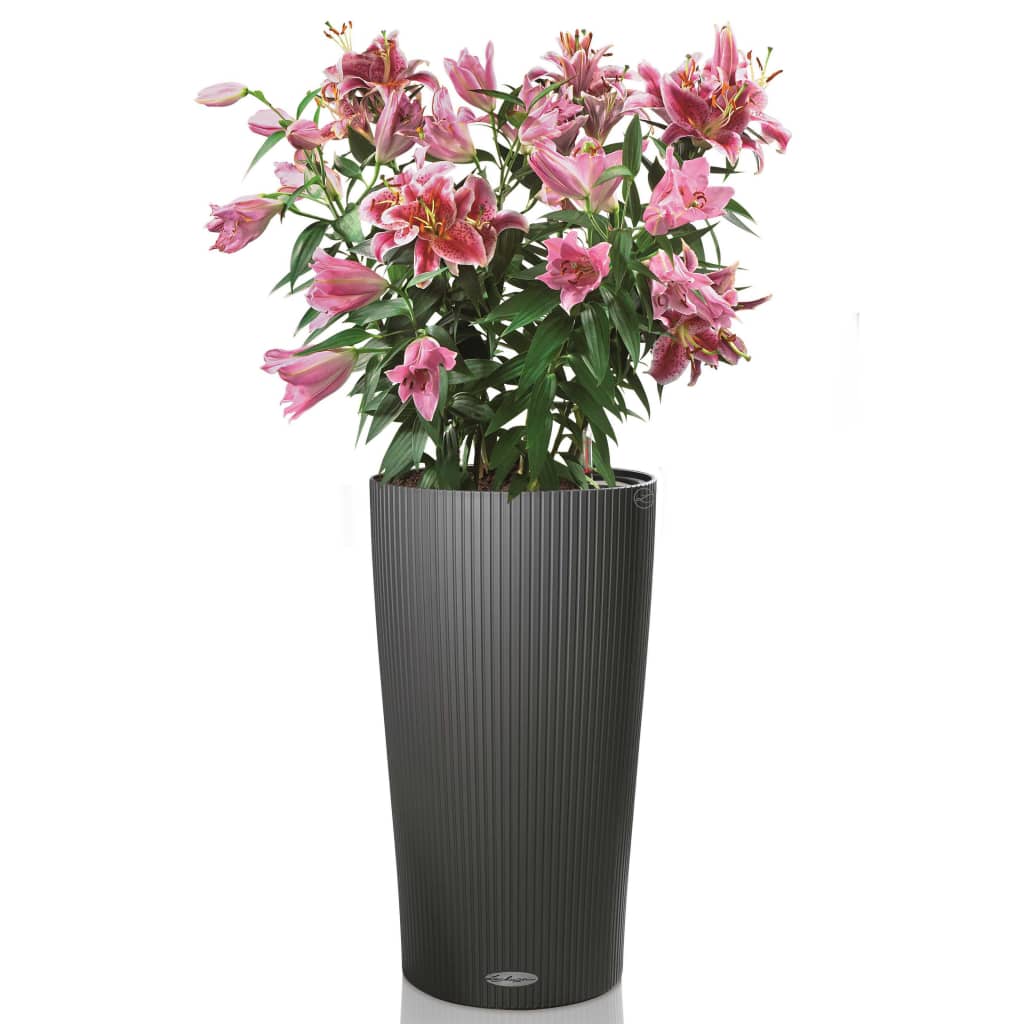 LECHUZA Jardinière Cilindro Color 32 ALL-IN-ONE Ardoise 13953