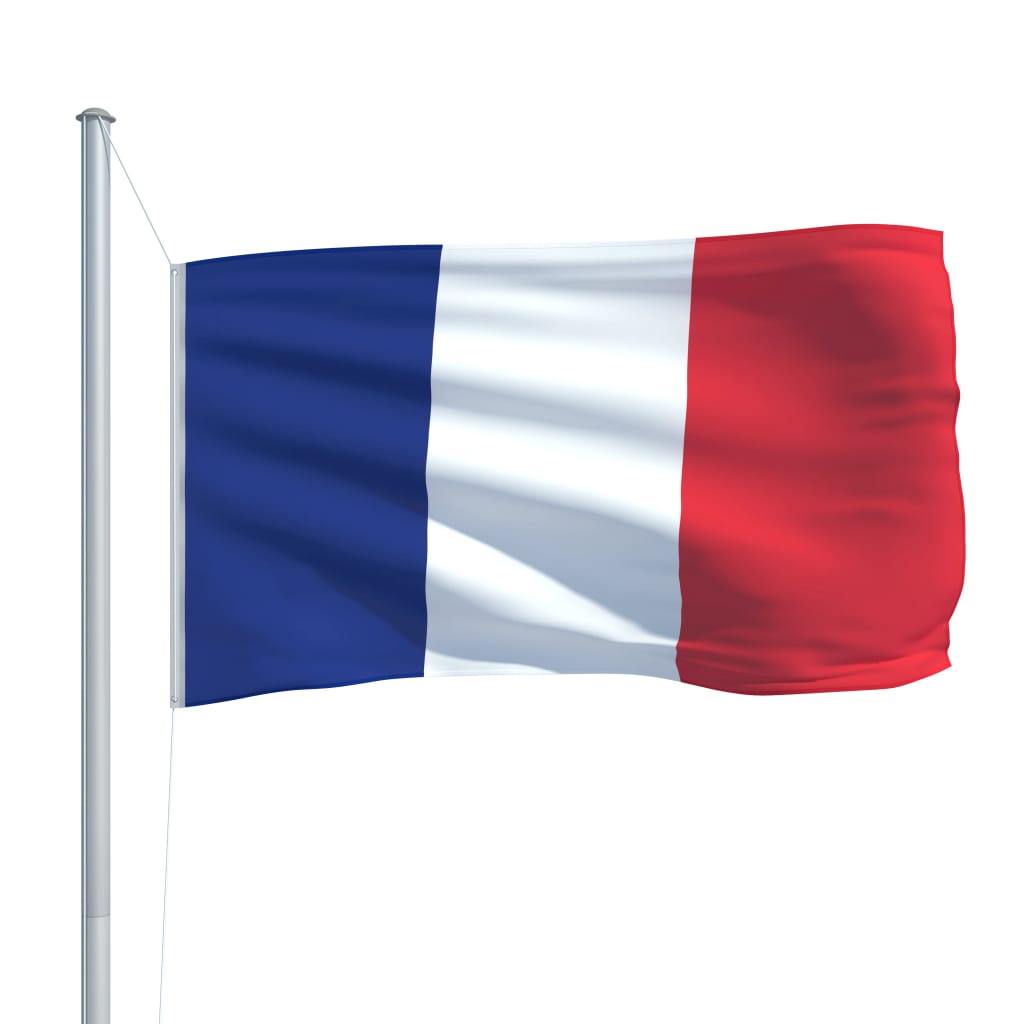 Drapeaux français à agiter matière indéchirable 9,5 x 16 cm (le