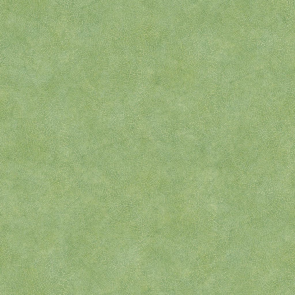 Noordwand Papier peint Evergreen Leaf Veins vert