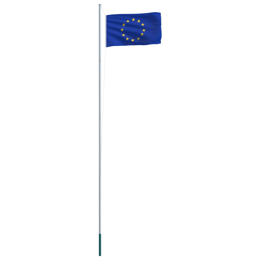 vidaXL Drapeau Union Européenne et mât en aluminium 6,2 m