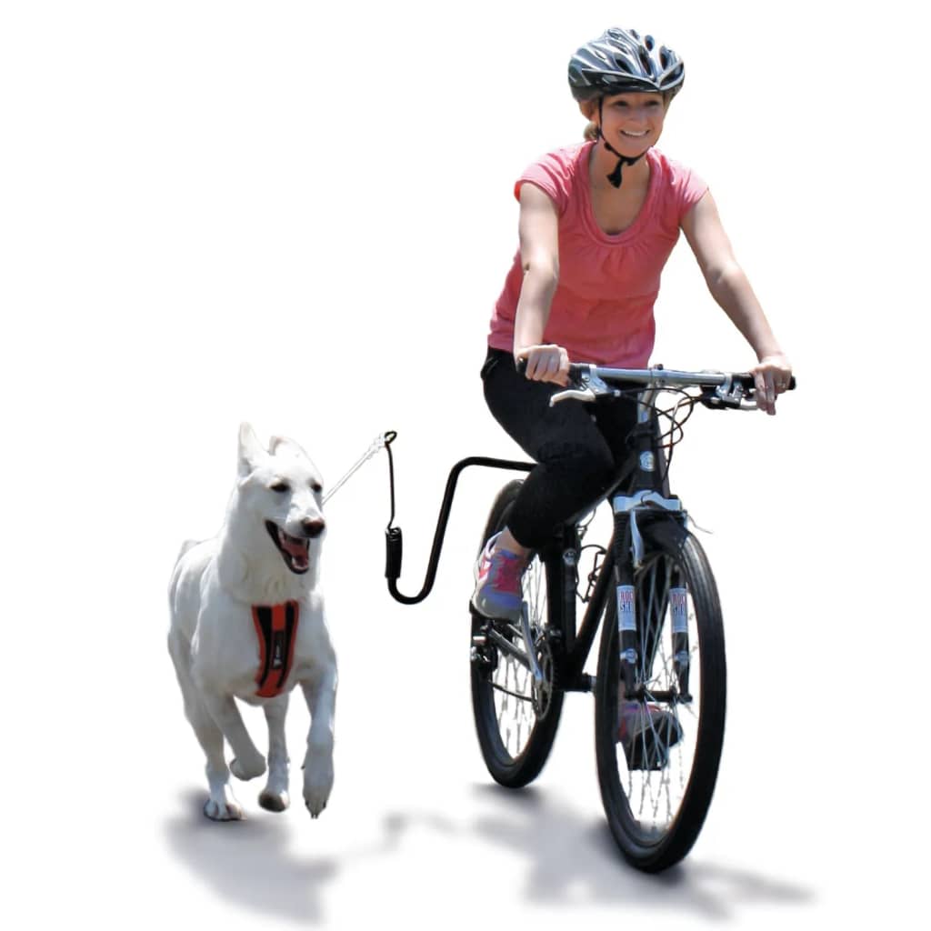 SPRINGER Kit d'exercice de vélo pour chiens