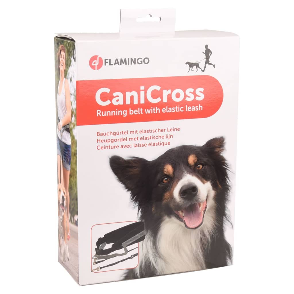 FLAMINGO Ceinture pour chien avec laisse élastique Canicross Noir