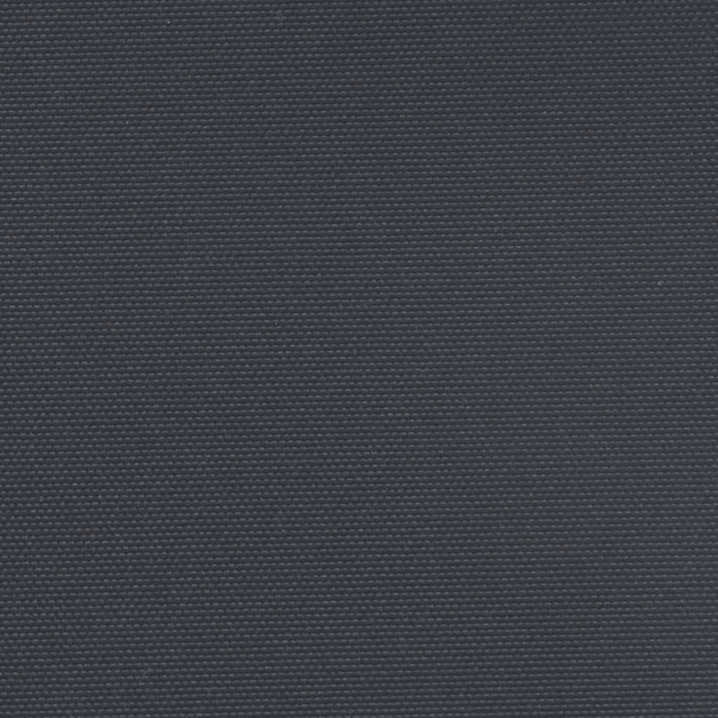 vidaXL Auvent latéral rétractable noir 220x1000 cm
