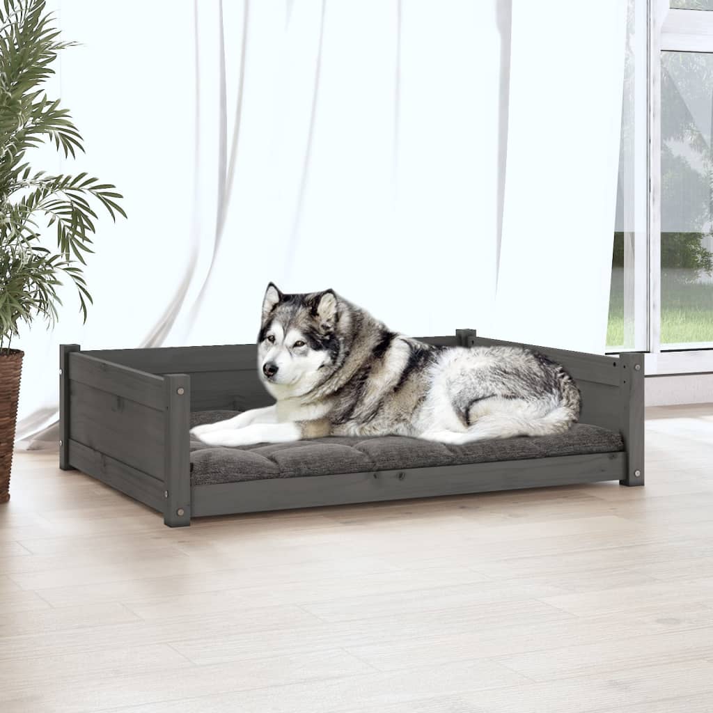 vidaXL Rampe pour chiens gris 100x40 cm bois de sapin solide
